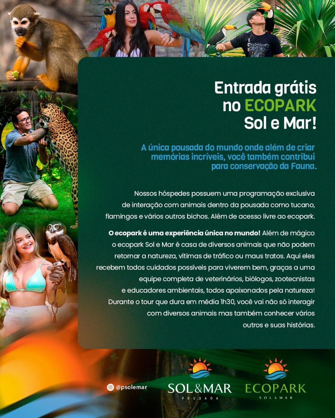 Sol E Mar 2*